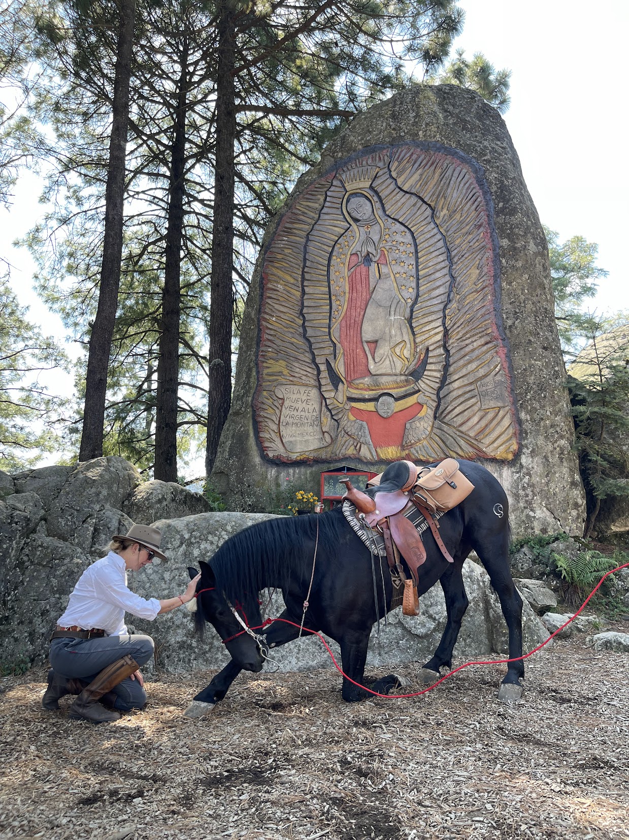 TO THE VIRGIN OF THE MOUNTAIN